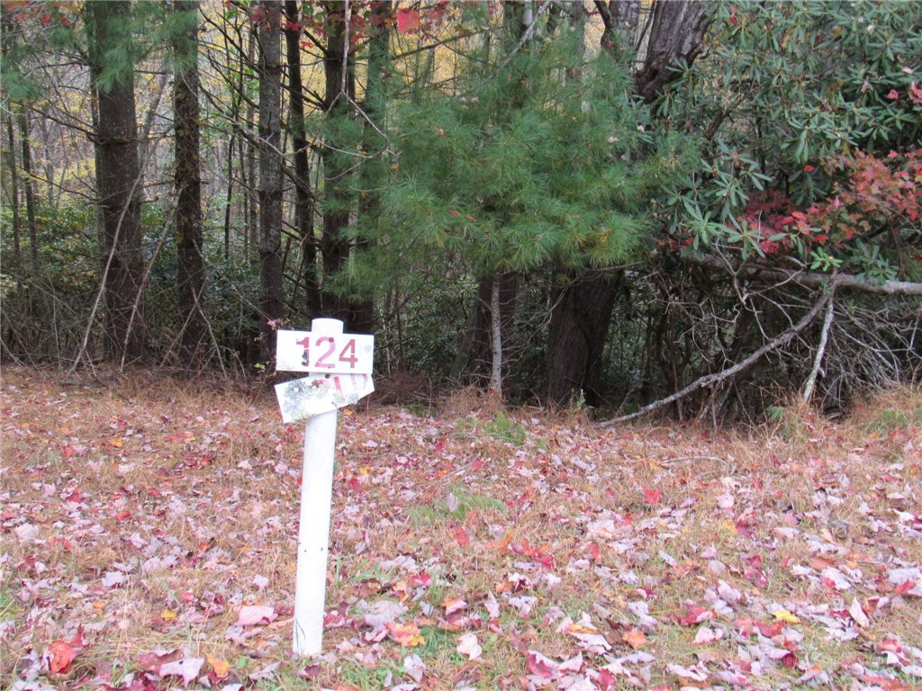 Lot 124 Blue Ridge View Piney Creek, NC 28663 - Photo 2 of 14 a street view with tall trees