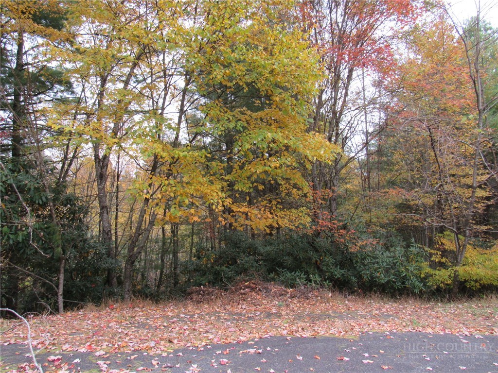 Lot 124 Blue Ridge View Piney Creek, NC 28663 - Photo 3 of 14 a view of backyard with green space
