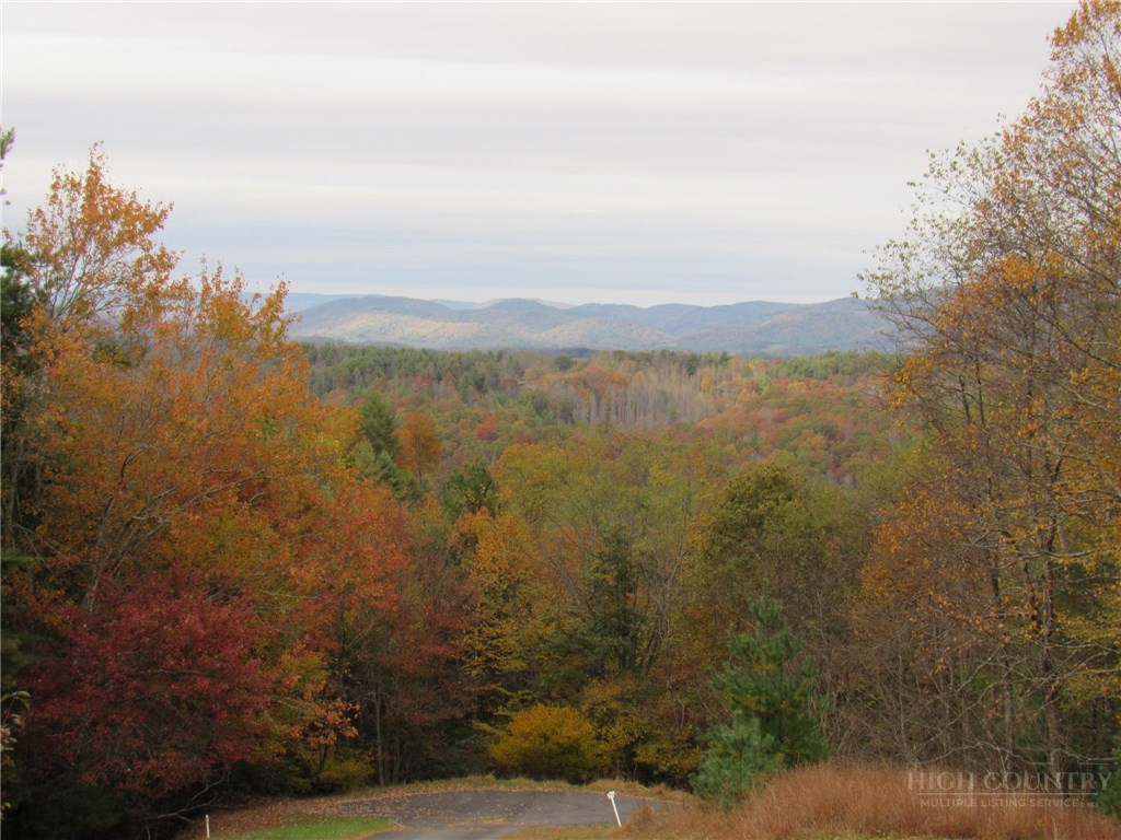Lot 124 Blue Ridge View Piney Creek, NC 28663 - Photo 4 of 14 a view of mountain
