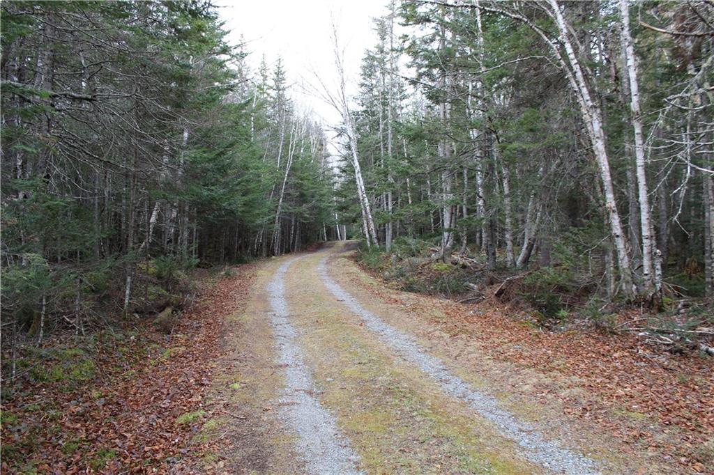 484 Duck Cove Road Roque Bluffs, ME 04654 - Photo 29 of 34 Private driveway leading to...