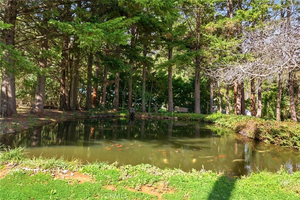 13730 Nimshew Road Magalia, CA 95954 - Photo 36 of 49