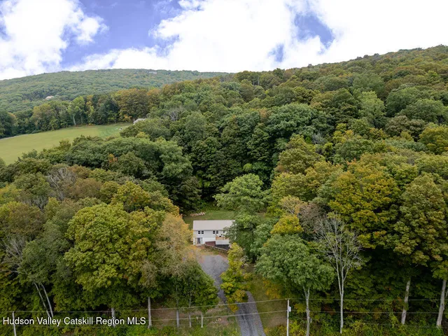 a view of a green field with lots of bushes