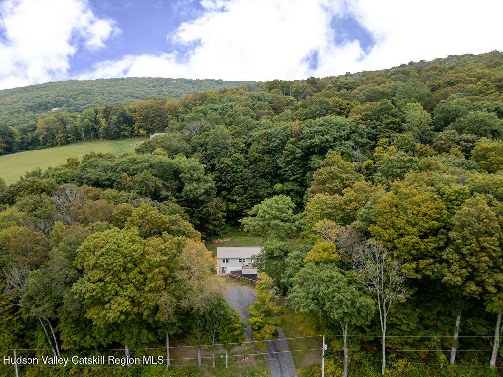 525 Winchell Mountain Road Millerton, NY 12546 - Photo 25 of 26 Aerial View