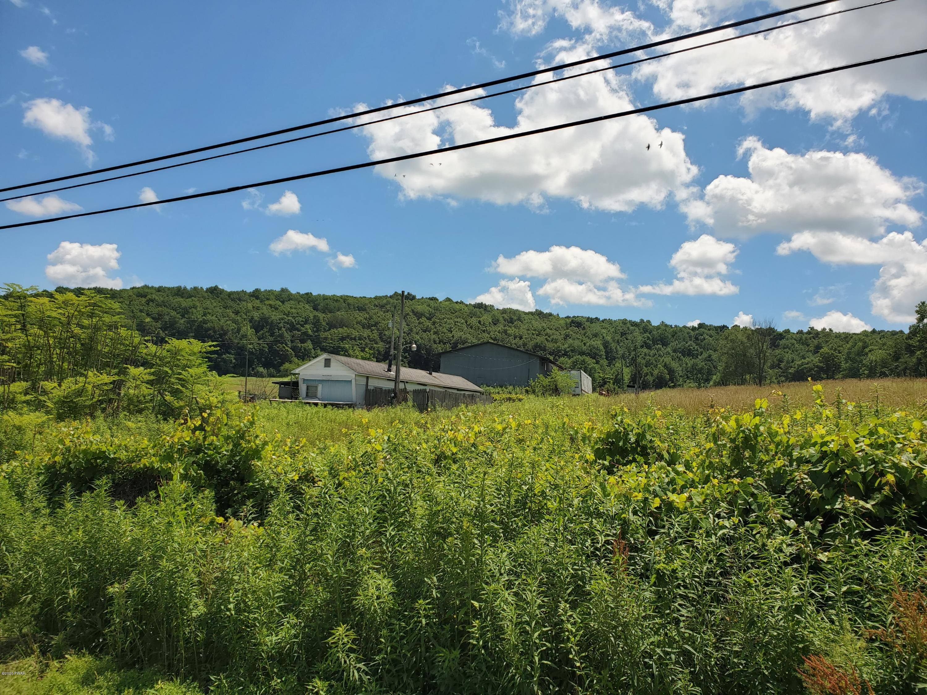 436 Galilee Road Damascus, PA 18415 - Photo 4 of 4 View from Road
