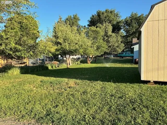a view of a park with large trees