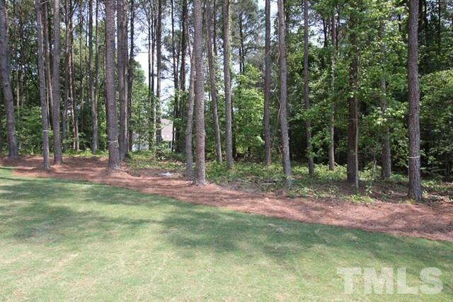 13804 Durant Road Raleigh, NC 27614 - Photo 22 of 25 a view of outdoor space and yard