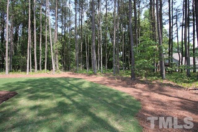 13804 Durant Road Raleigh, NC 27614 - Photo 23 of 25 a view of outdoor space and yard
