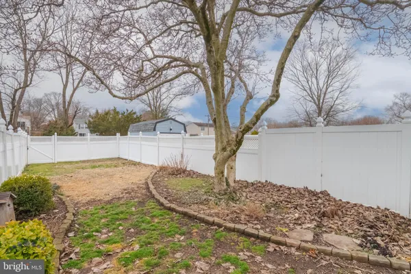 a view of a yard with trees