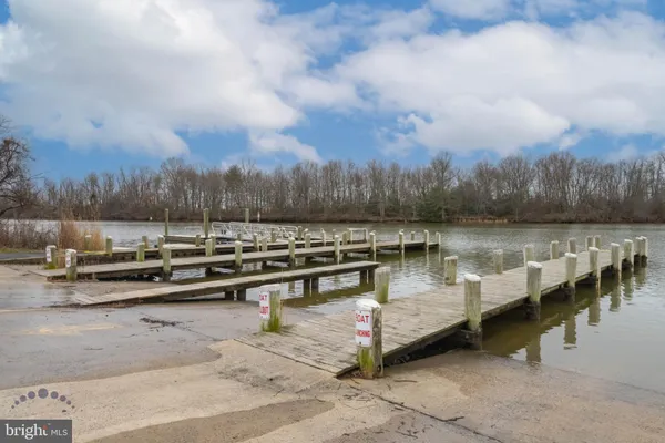 a view of a park with bench and trees