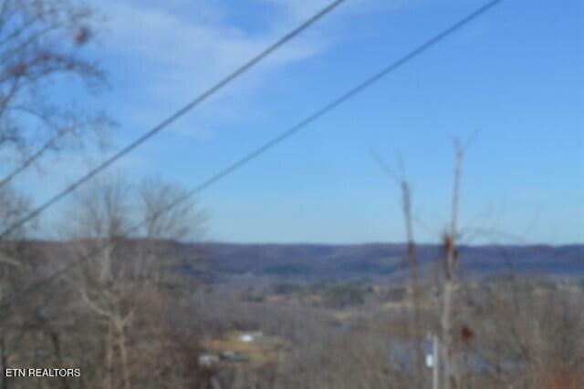 5-ac Schelley Road Gainesboro, TN 38562 - Photo 11 of 37 DSC_0101