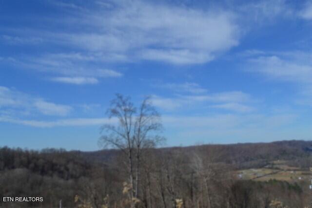 5-ac Schelley Road Gainesboro, TN 38562 - Photo 12 of 37 DSC_0104