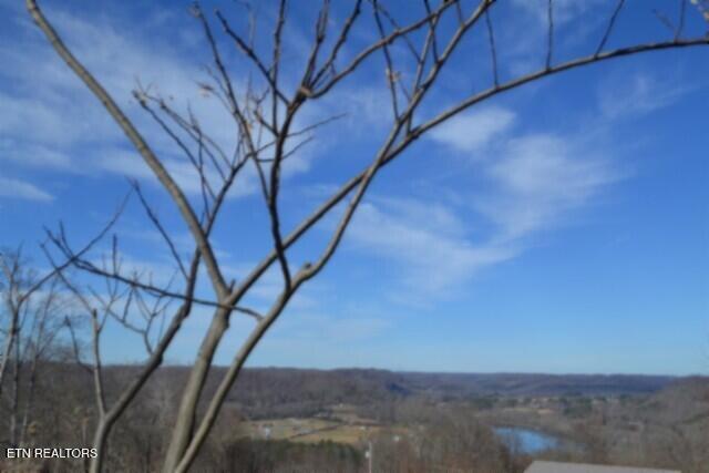 5-ac Schelley Road Gainesboro, TN 38562 - Photo 14 of 37 DSC_0107