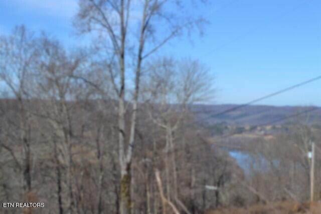 5-ac Schelley Road Gainesboro, TN 38562 - Photo 2 of 37 DSC_0092