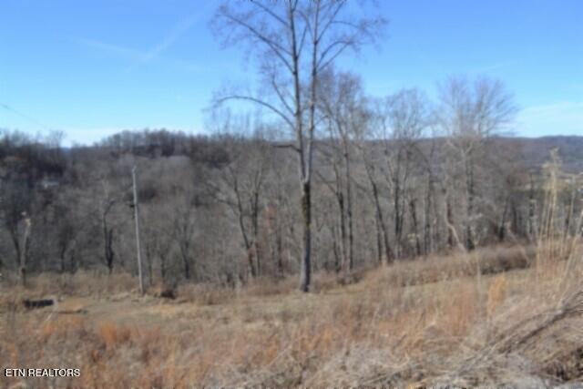 5-ac Schelley Road Gainesboro, TN 38562 - Photo 22 of 37 DSC_0147