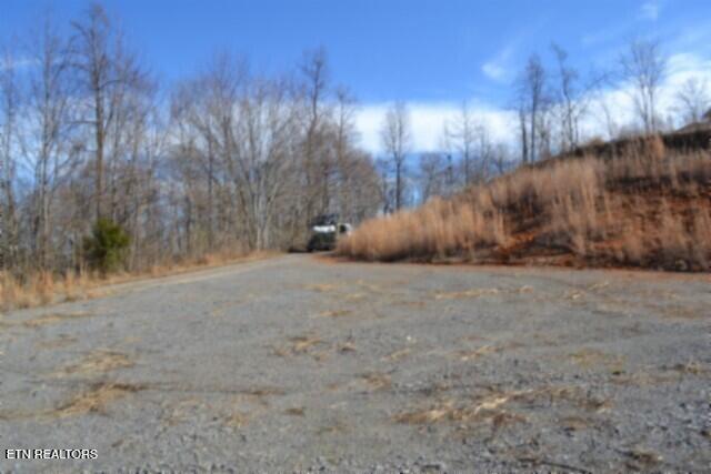 5-ac Schelley Road Gainesboro, TN 38562 - Photo 24 of 37 DSC_0149