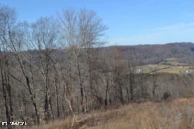 5-ac Schelley Road Gainesboro, TN 38562 - Photo 27 of 37 DSC_0152