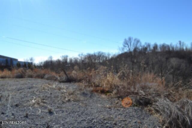 5-ac Schelley Road Gainesboro, TN 38562 - Photo 30 of 37 DSC_0155