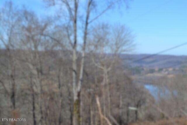 5-ac Schelley Road Gainesboro, TN 38562 - Photo 3 of 37 DSC_0093