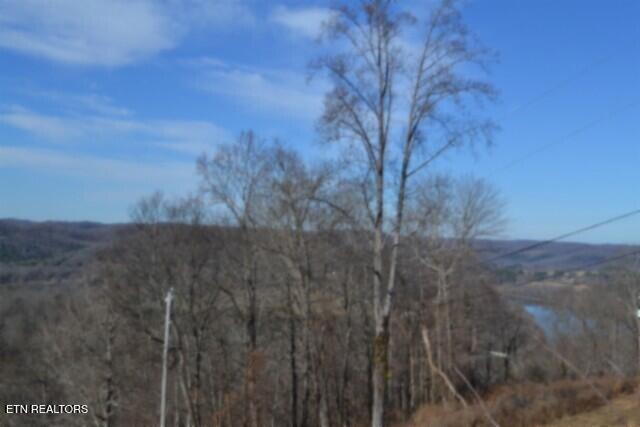 5-ac Schelley Road Gainesboro, TN 38562 - Photo 5 of 37 DSC_0095