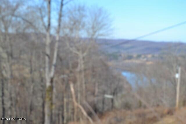 5-ac Schelley Road Gainesboro, TN 38562 - Photo 6 of 37 DSC_0096