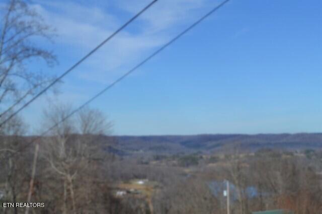5-ac Schelley Road Gainesboro, TN 38562 - Photo 9 of 37 DSC_0099