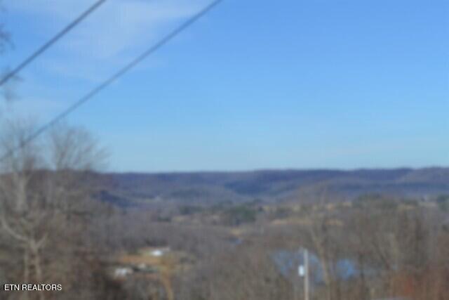 5-ac Schelley Road Gainesboro, TN 38562 - Photo 10 of 37 DSC_0100