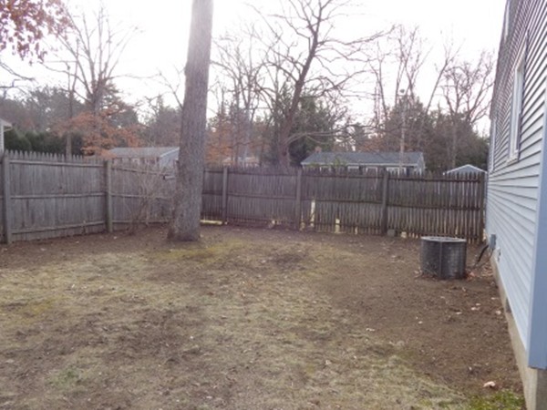 34 Mark Street Springfield, MA 01129 - Photo 4 of 15 a view of backyard and trees
