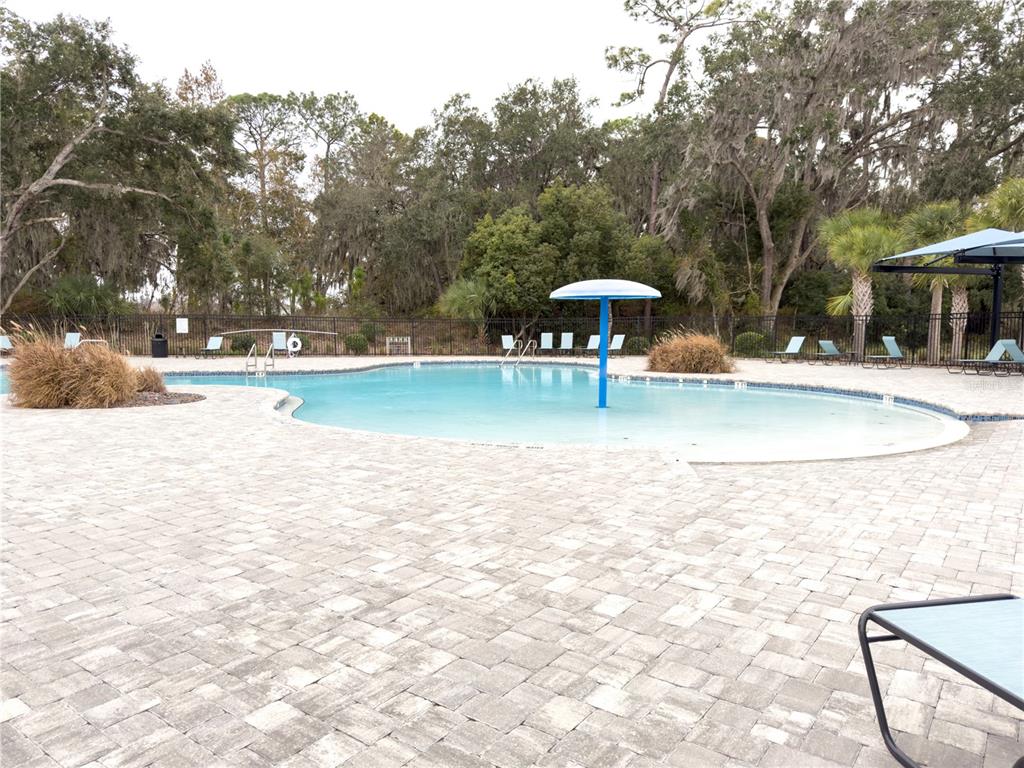 3168 Goose Road Davenport, FL 33837 - Photo 37 of 39