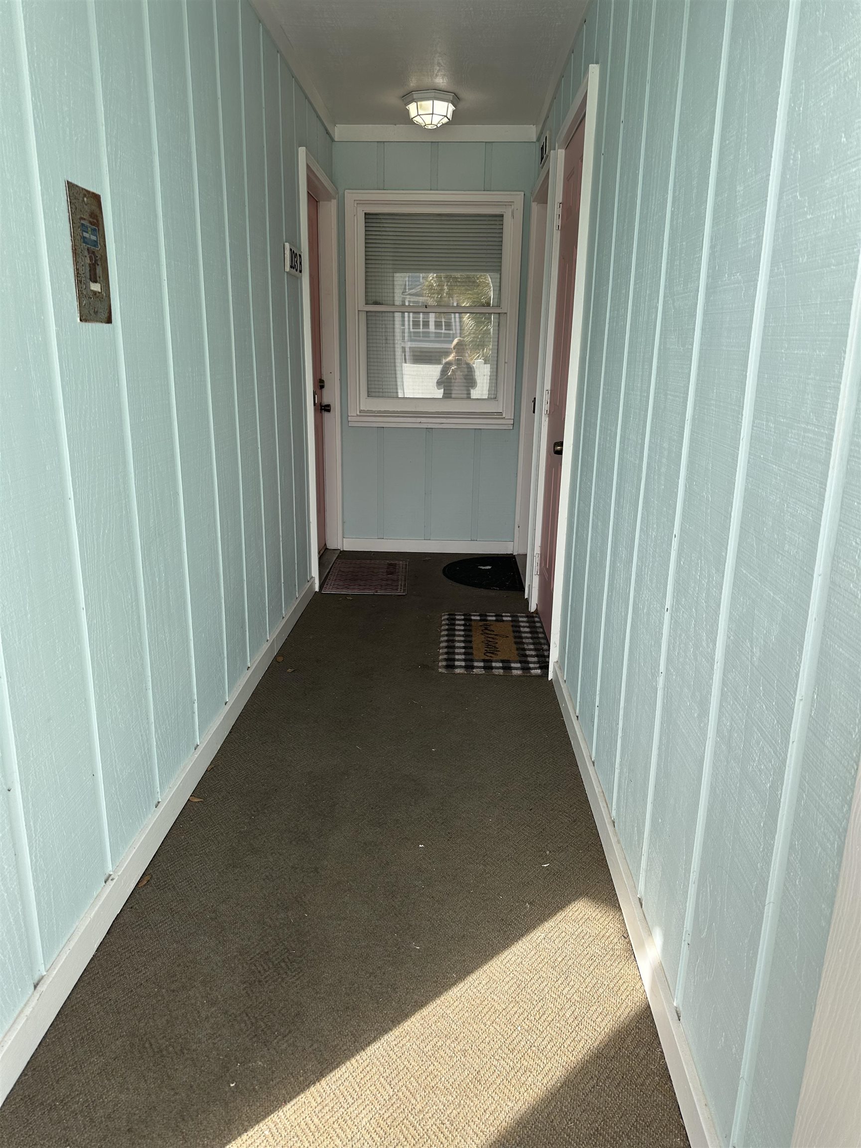 420 Pine Avenue Murrells Inlet, SC 29576 - Photo 2 of 21 Hall featuring carpet flooring and baseboards