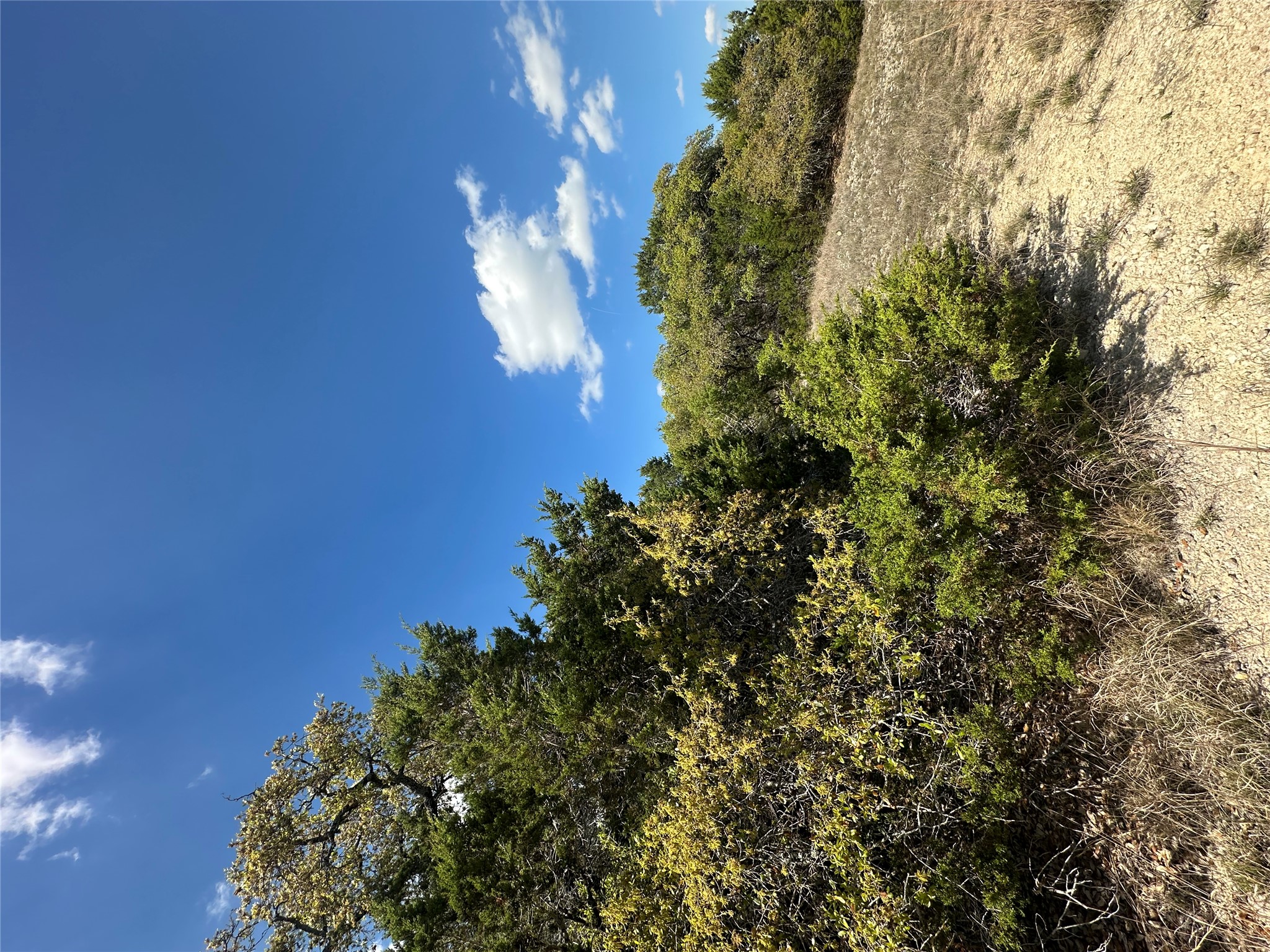 336 County Road 334 Roads Burnet, TX 78611 - Photo 5 of 11 Vast natural landscaping unfolds beneath a brilliant, cloud-dappled sky.