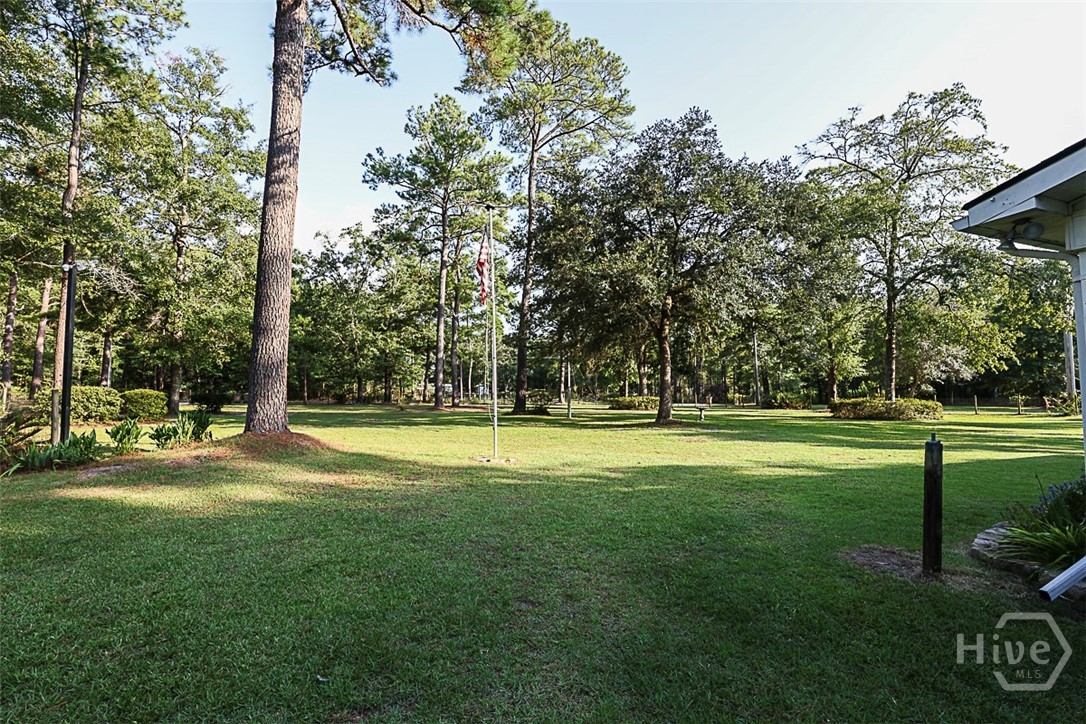 245 Brittingham Road Guyton, GA 31312 - Photo 46 of 66 Gallery Image 46