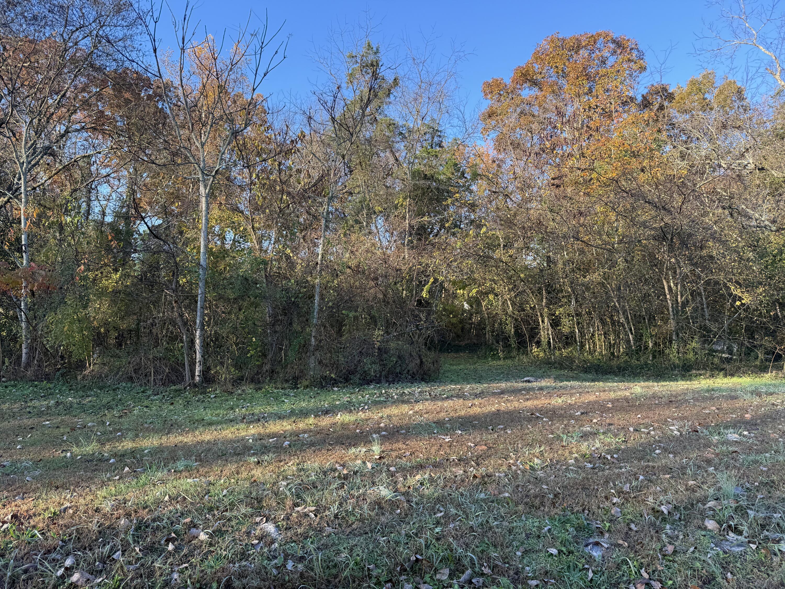 0 Rockfort Road Pikeville, TN 37367 - Photo 2 of 4 IMG_1012