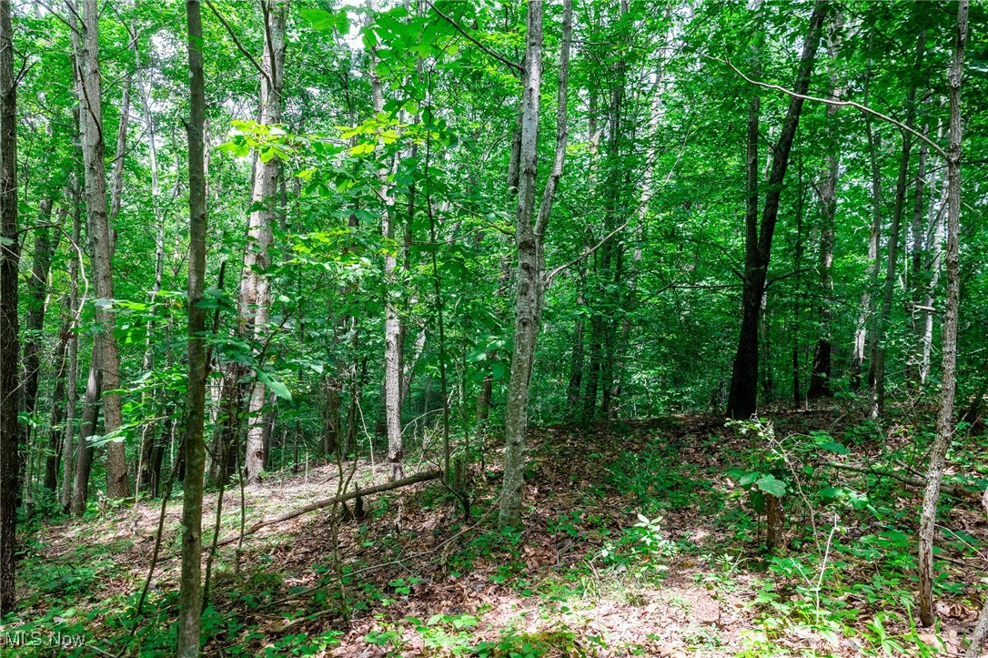 Harrons Ridge Road Dexter City, OH 45727 - Photo 23 of 50 View of tree filled area