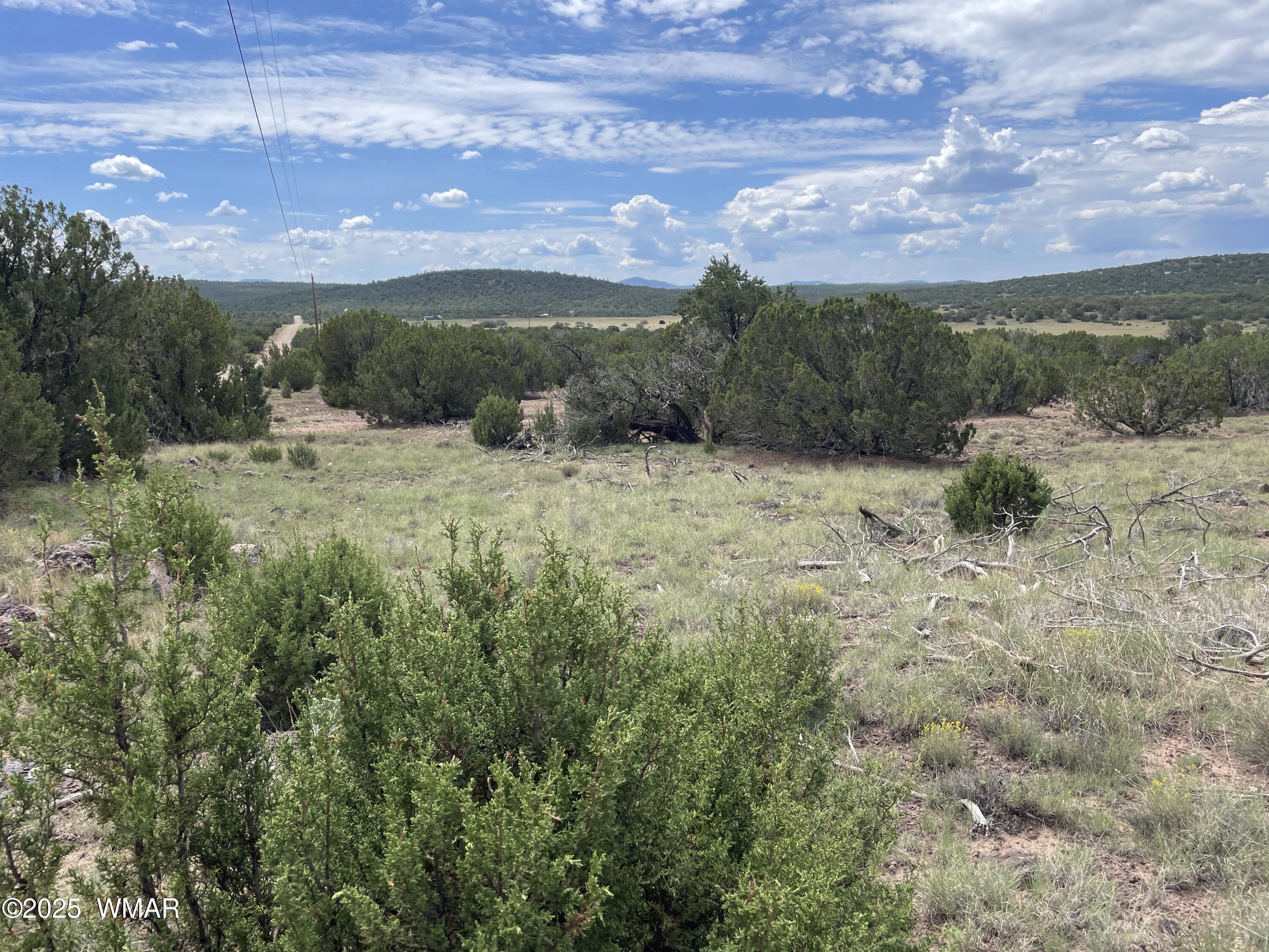35 Burns Road Concho, AZ 85924 - Photo 2 of 11 a view of a big yard with a mountain