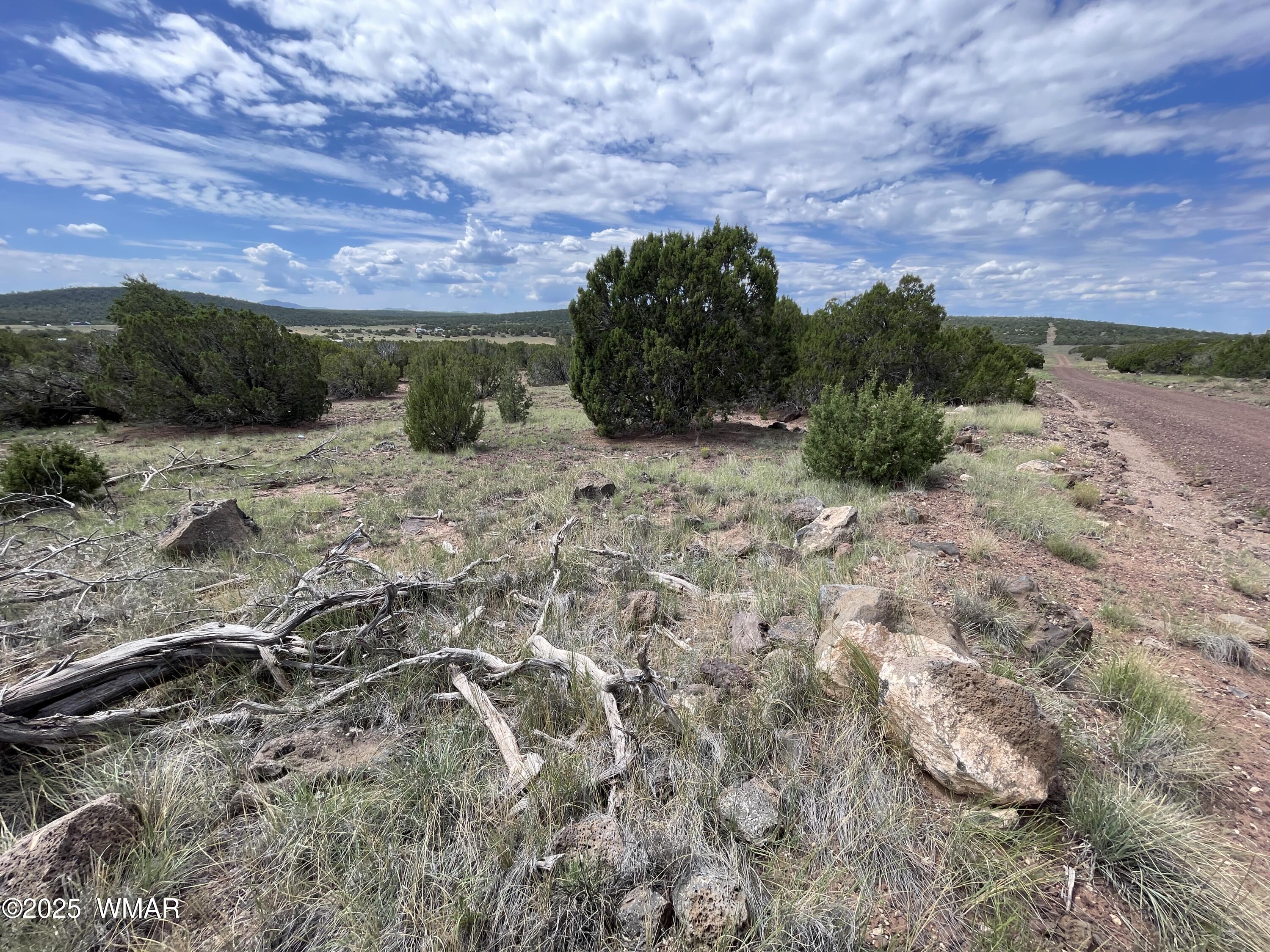 35 Burns Road Concho, AZ 85924 - Photo 3 of 11 a view of a yard
