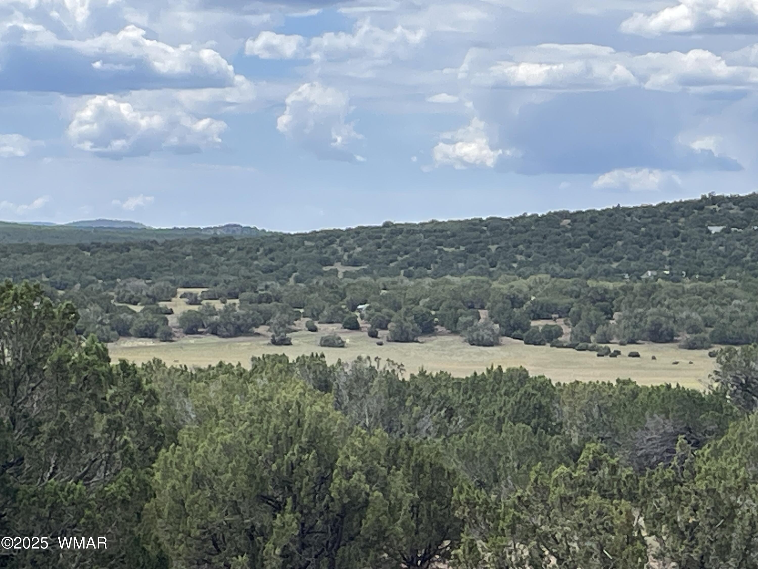 35 Burns Road Concho, AZ 85924 - Photo 4 of 11 a view of mountains and valleys