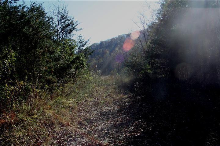 1916 Caudill Road Stanton, KY 40380 - Photo 6 of 13 Photo 6
