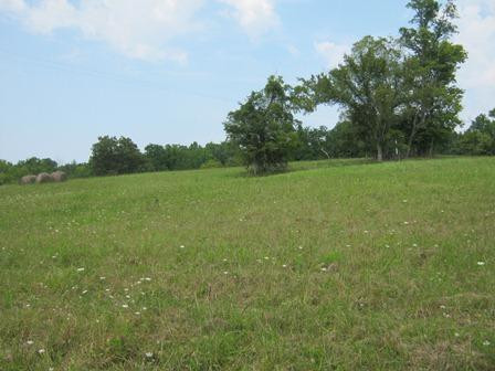 1354 Birdie Road Lawrenceburg, KY 40342 - Photo 53 of 55 Photo 54