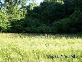 703 Arenzville Road Meredosia, IL 62665 - Photo 2 of 8 Gallery Image 2