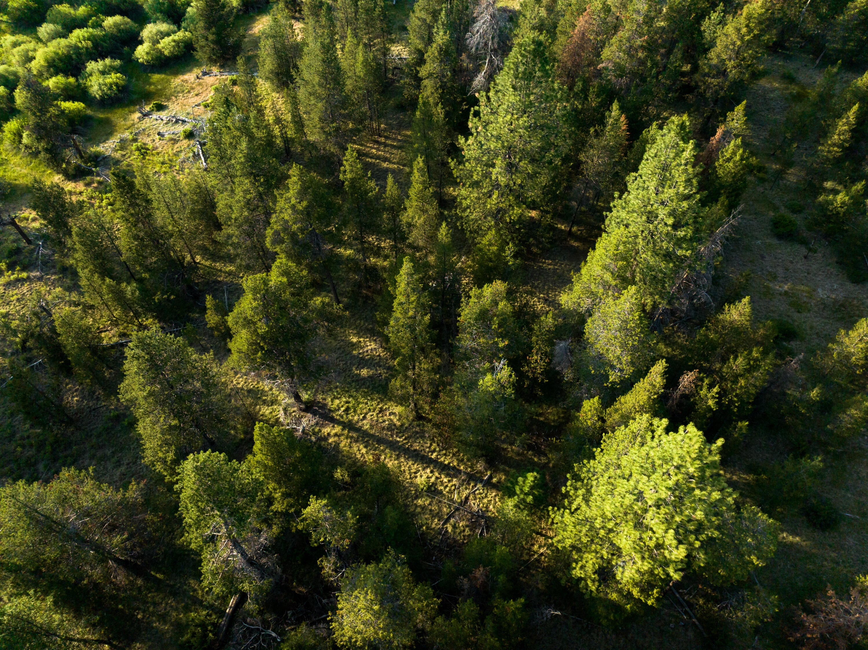 55455 Huntington Road Bend, OR 97707 - Photo 8 of 11 070523_HuntingtonRd_AerialPhotos-5
