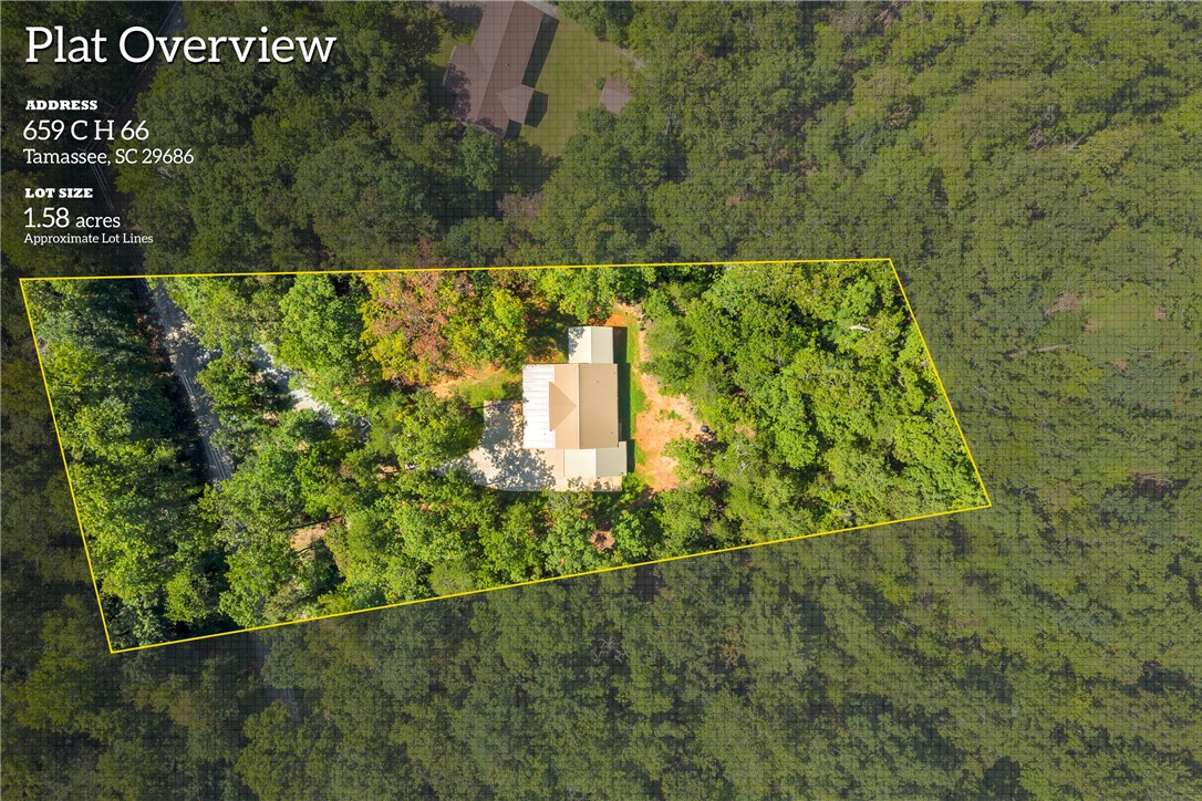 659 White Oak Farms Road Tamassee, SC 29686 - Photo 10 of 50 Densely wooded acreage surrounds the private home site, offering a secluded natural sanctuary.