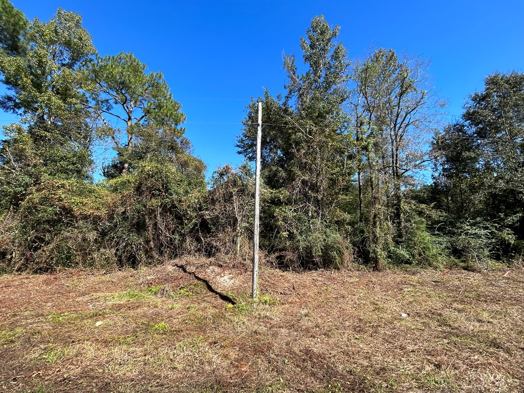 5.296-ac 5.296-ac Road Cottonwood, AL 36320 - Photo 19 of 21