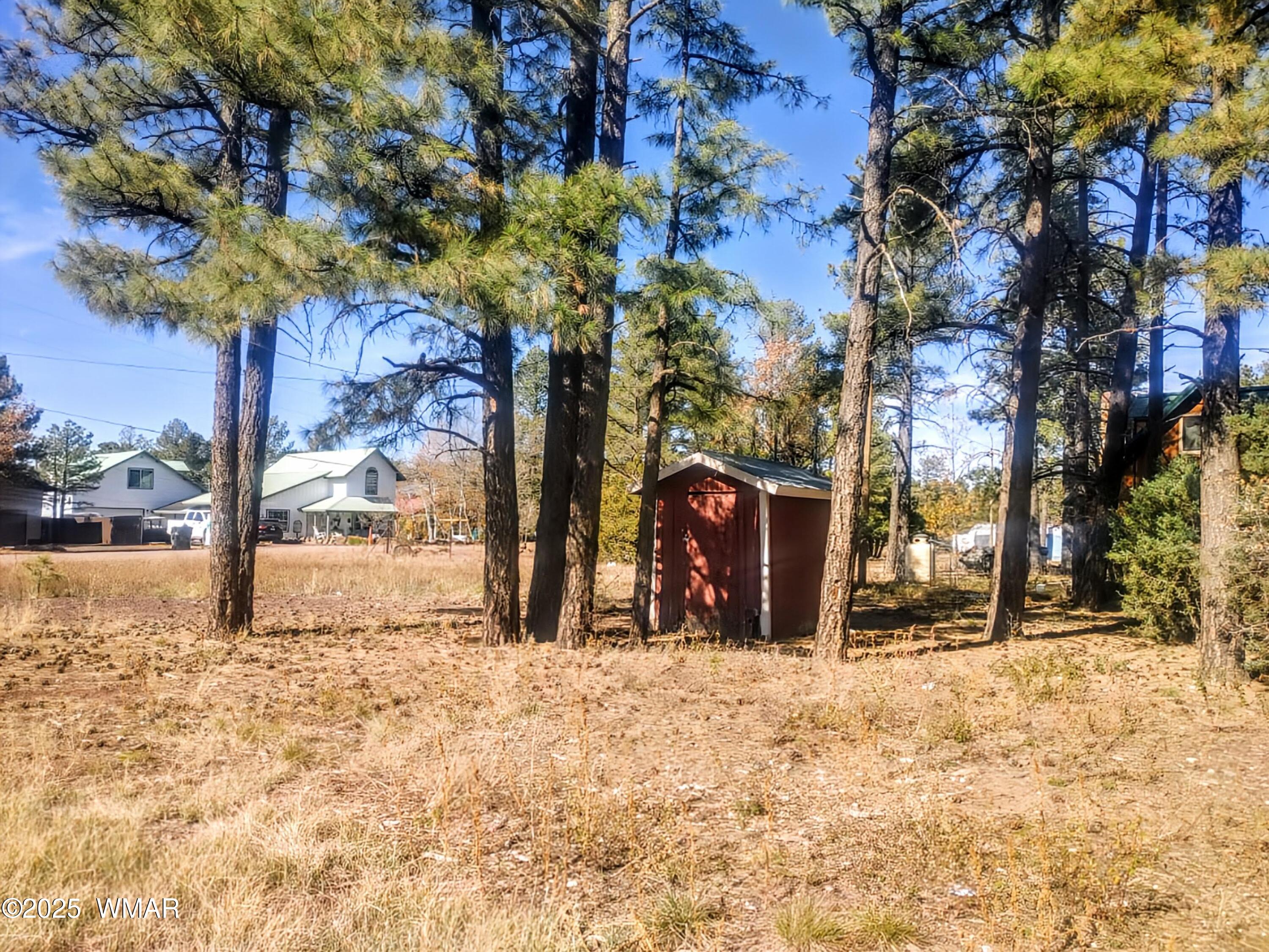 399 Riverside Drive Lakeside, AZ 85929 - Photo 1 of 7 1111251209~2