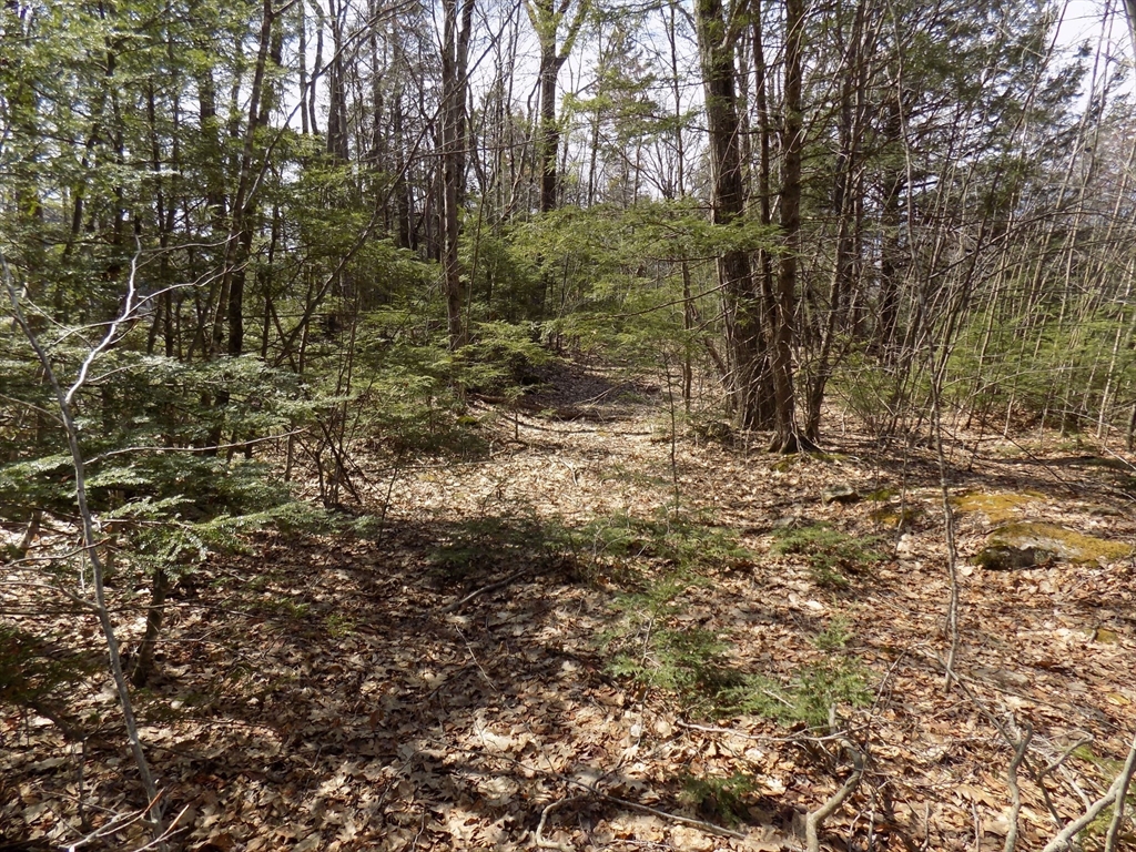 Lot 7 Skyline Ridge Road Becket, MA 01223 - Photo 12 of 14