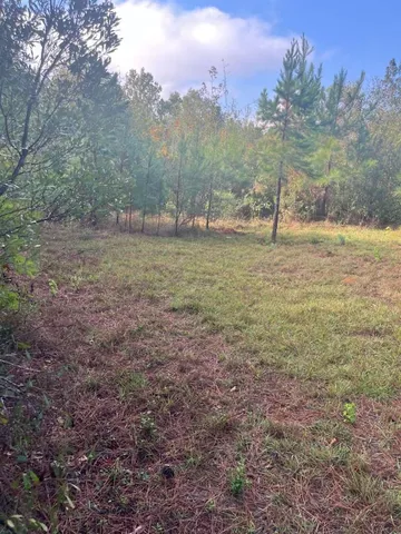 a view of a outdoor space with trees all around