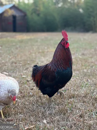 $179,900 | 951 Elder Road, Griffin, GA 30223