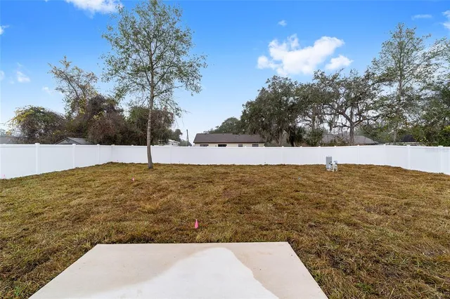 a view of yard with large trees