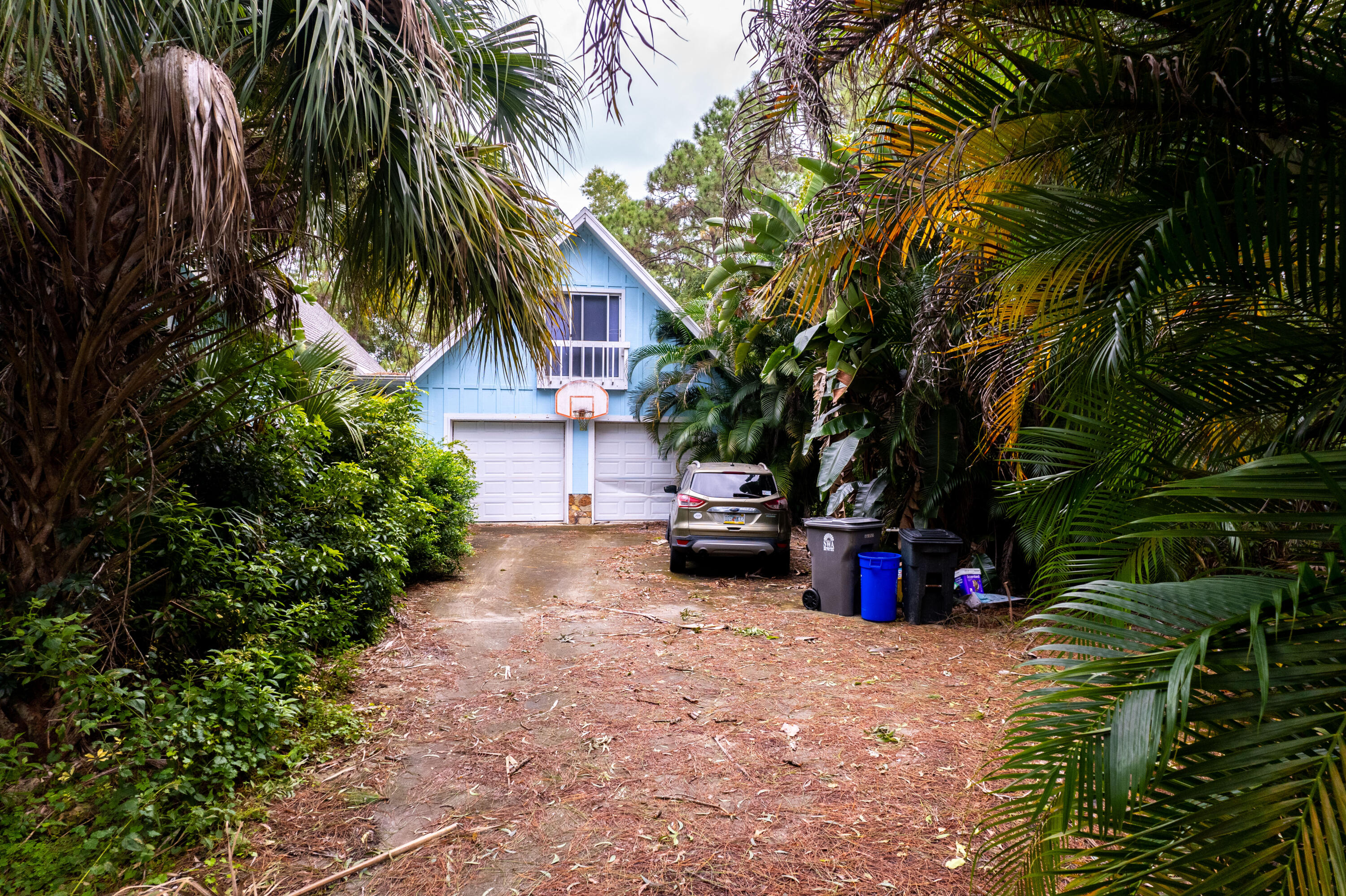15184 Alexander Run Jupiter, FL 33478 - Photo 1 of 35 a view of backyard with palm trees