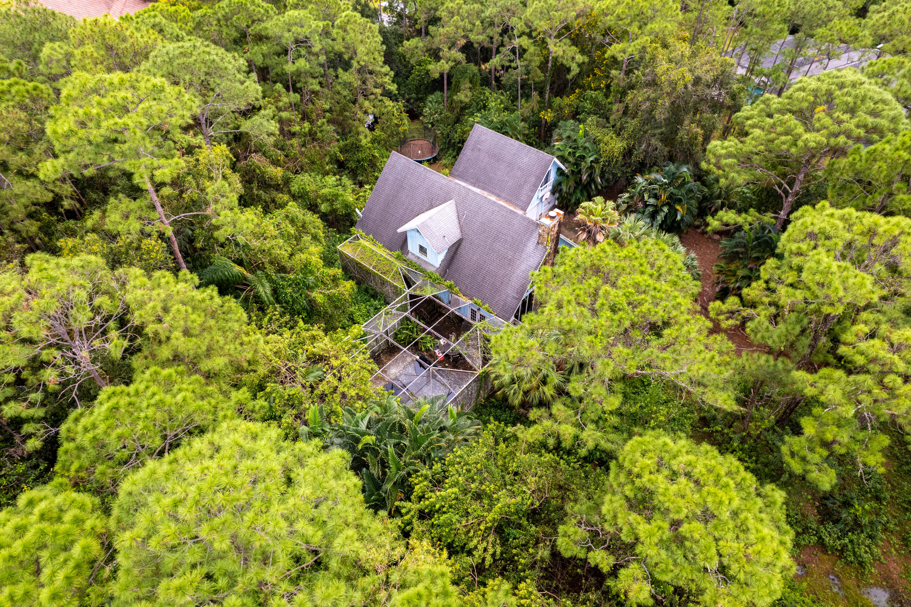 15184 Alexander Run Jupiter, FL 33478 - Photo 23 of 35 an aerial view of residential house with outdoor space and trees all around