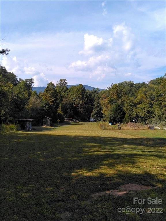 3600 Lake Adger Road Mill Spring, NC 28756 - Photo 6 of 9